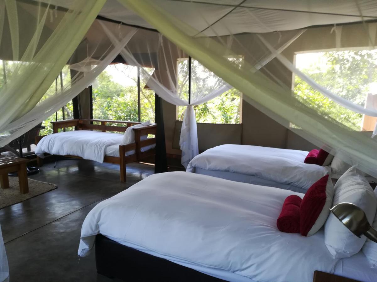 Honeyguide Tented Safari Camp - Khoka Moya Manyeleti Game Reserve Exterior foto