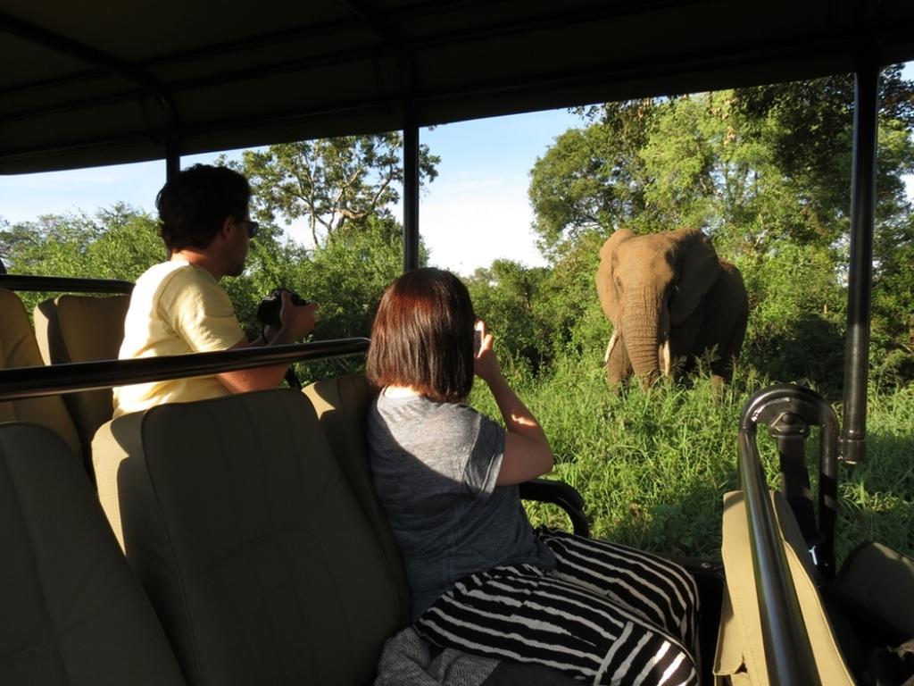Honeyguide Tented Safari Camp - Khoka Moya Manyeleti Game Reserve Exterior foto