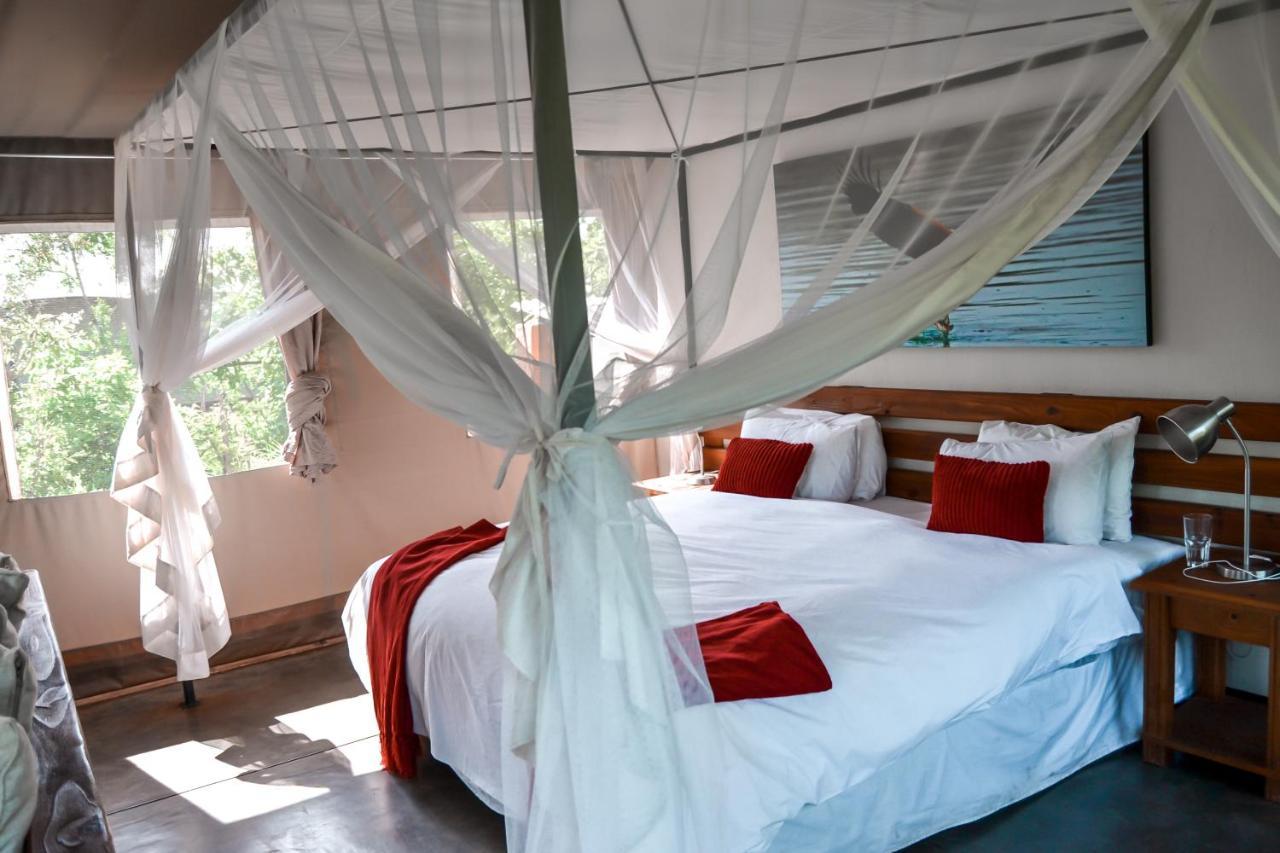 Honeyguide Tented Safari Camp - Khoka Moya Manyeleti Game Reserve Exterior foto